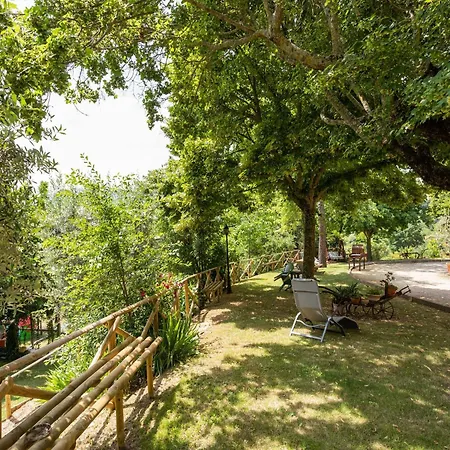 Holiday home In With Pool Assisi