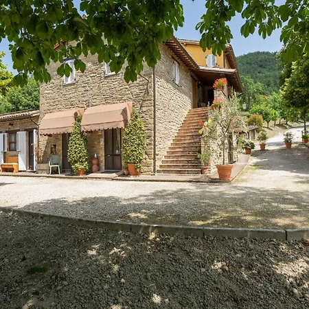 In With Pool Holiday home Assisi