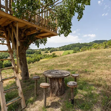 Casa vacanze In With Pool Assisi