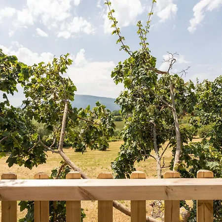 In With Pool * Assisi