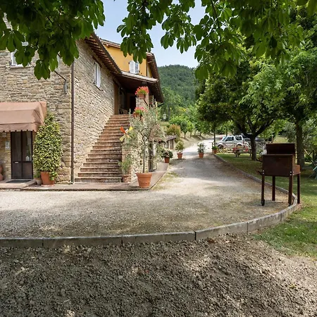 In With Pool Assisi