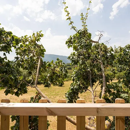 Σπίτι διακοπών In With Pool