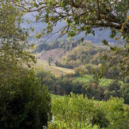 In With Pool Ασίζη