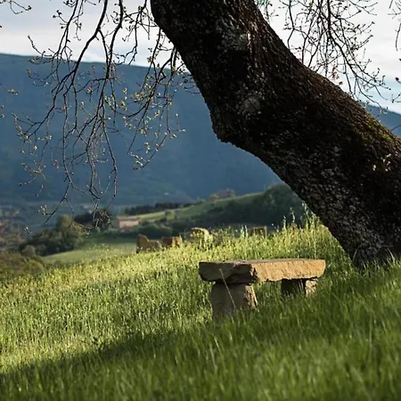 Σπίτι διακοπών In With Pool *