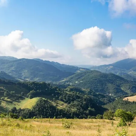Σπίτι διακοπών In With Pool Ασίζη
