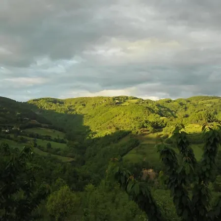 In With Pool Casa vacanze