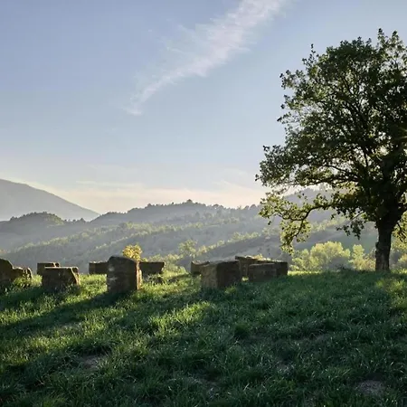 Σπίτι διακοπών In With Pool *