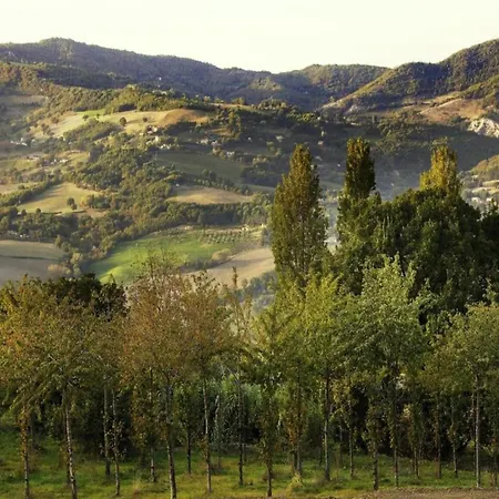 In With Pool Σπίτι διακοπών Ασίζη